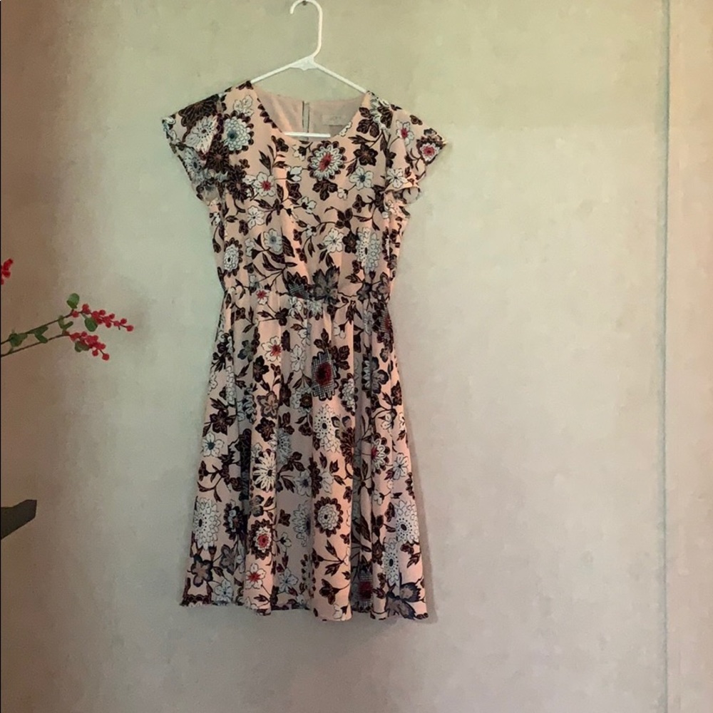 Loft ann Taylor dress floral pink